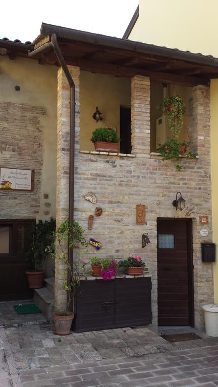 B&B La Casuccia Di Assisi Exteriér fotografie